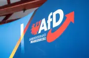 Brandenburgs AfD-Chef lehnt strengere Verhaltensregeln trotz Vetternwirtschaftsvorwürfen ab