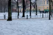BUND kritisiert Winterdienst-Pläne in Berlin als zu zaghaft und mutlos