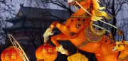 Chinesisches Neujahr startet: So reiten Sie erfolgreich ins Jahr des Feuerpferdes