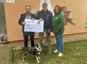 Dessauer Tierheimhund Tim erhält lebensrettende Spende nach eigener Heldentat