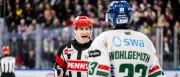Eishockey-Schiedsrichter André Schrader: „Spieler sind verrückt – Schiedsrichter genauso“