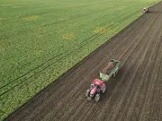 EU-Umfrage startet: Landwirtschaftsbetriebe in Sachsen-Anhalt werden befragt