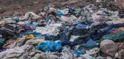 EU verbietet Vernichtung unverkaufter Kleidung: Kampf gegen Ressourcenverschwendung