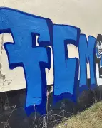 FCM-Graffiti in Köthen: Ermittlungen gegen jugendliche Sprayer dauern an