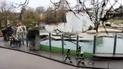 Feuerwehr rettet Eisbären im Karlsruher Zoo nach Wasserverlust im Tauchbecken