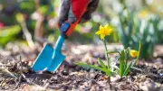 Frühlingserwachen im Garten: Die besten Tipps für die erste Gartenarbeit im Februar