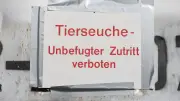 Geflügelpest kehrt zurück: Vogelgrippe-Ausbruch im Kyffhäuserkreis fordert über 10.000 Puten