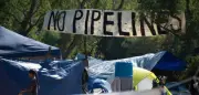 Gericht verurteilt Greenpeace zu 345 Millionen Dollar Schadensersatz für Pipeline-Proteste