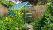 Gewächshaus im Garten: Traum vom eigenen Gemüse oder kostspielige Herausforderung?