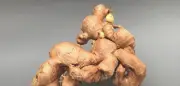 Ingwer: Die vielseitige Wunderwurzel mit heilender Kraft und kulinarischem Reiz