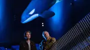 Löwenzahn-Folge aus dem Ozeaneum: Wale hautnah im ZDF und in der Mediathek