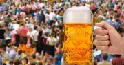 Paulaner trotzt Branchenkrise: Absatz steigt um 14 Prozent - Helles ist der klare Favorit