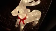 Polizei Neubrandenburg fahndet nach gestohlenen Deko-Figuren: Schneemann Bruno und Reh Bambi