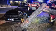 Schwerer Unfall in Ludwigsfelde: Ford Mustang kracht gegen Baum – Insassen unverletzt