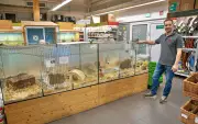 Südstadt-Center in Halle geschlossen: Dessauer Zoogeschäft nimmt Tiere auf