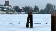 Seltenes Naturschauspiel: Otter am Warener Hafen auf zugefrorener Müritz gesichtet