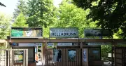 Süßer Nachwuchs im Tierpark Hellabrunn: Faultier-Baby erkundet München
