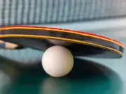 TTBL-Kellerzittern: Windsbachs Lizenzantrag bringt Dynamik in Abstiegskampf