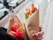Valentinstag: Nachhaltige Blumen-Alternativen zu Rosen und Tulpen