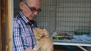 Vermisster Kater in Marderfalle: Tierschützer fordern strengere Kontrollen in Neubrandenburg