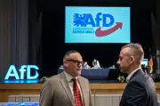 Vetternwirtschaft in Sachsen-Anhalt: AfD-Abgeordnete stellen Familienmitglieder von Kollegen ein