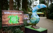 Vogelgrippe-Ausbruch im Vogelpark Walsrode: Voliere betroffen, Gesamtbestand gesichert