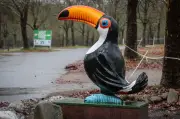 Vogelgrippe in Niedersachsen: Zoos verschärfen Schutzmaßnahmen nach Todesfällen