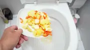 Warum Essensreste niemals in der Toilette entsorgt werden sollten