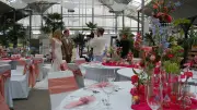 Weißenfels feiert unter Palmen: Hochzeitsplanerin verwandelt alte Gärtnerei in Event-Location
