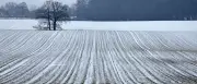Wettervorhersage: Schnee am Wochenende, ab Rosenmontag mildere Temperaturen im Westen