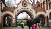 Zoo Leipzig erhöht Eintrittspreise: Neue Tarife für Tagestickets und Jahreskarten ab 2026
