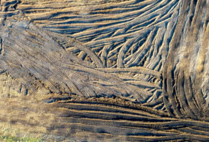 124 Millionen Euro Fördermittel für neues Industriegebiet in Lützen