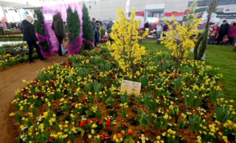 34. Ostseemesse in Rostock eröffnet: Tausende Besucher strömen zum Auftakt