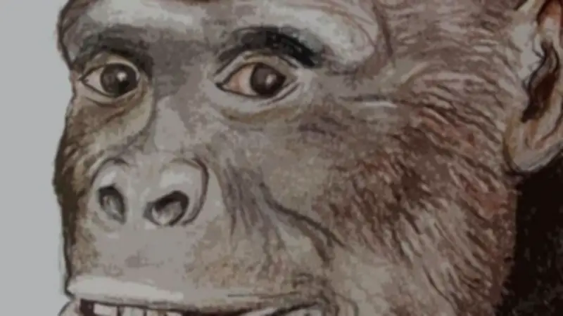 7,2 Millionen Jahre alter Knochen: Ältester Vorfahre des Menschen in Bulgarien entdeckt?