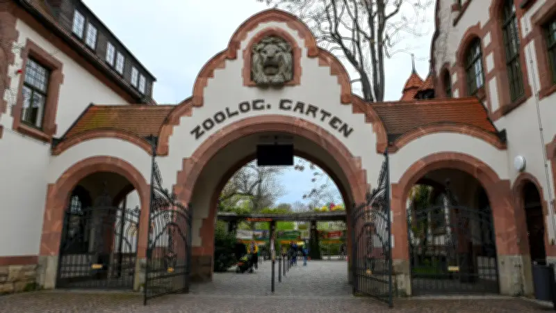 Abschied nach 20 Jahren: Kult-Pfleger verlässt Zoo Leipzig in emotionaler MDR-Sendung