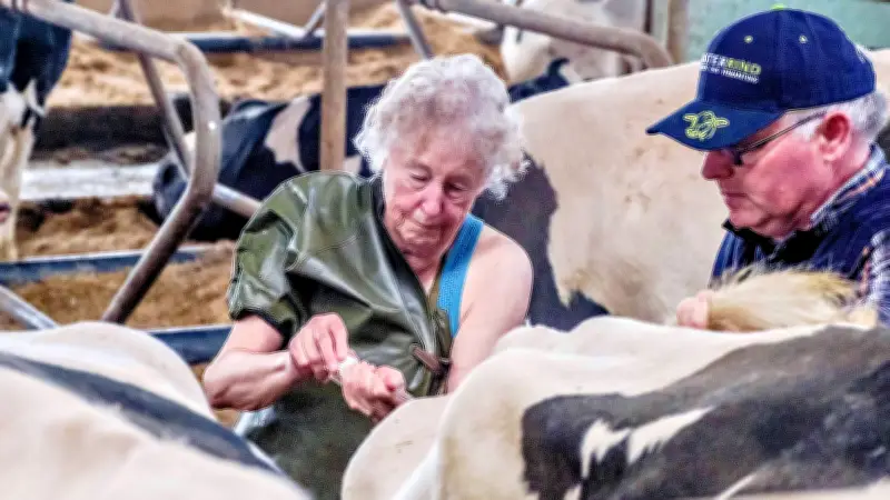 Abschied nach 55 Jahren: Tierärztin Brigitte Franz beendet mit 75 ihre Praxis