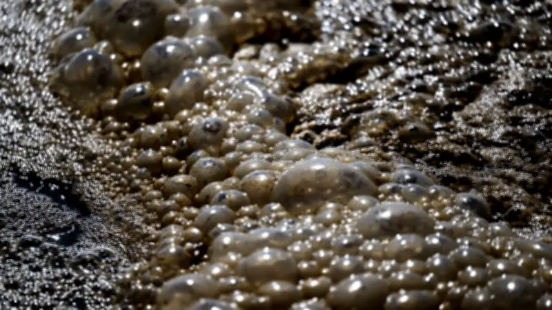 Abwasseranalyse: Wie Drogenrückstände von der Kläranlage zur Schlagzeile werden