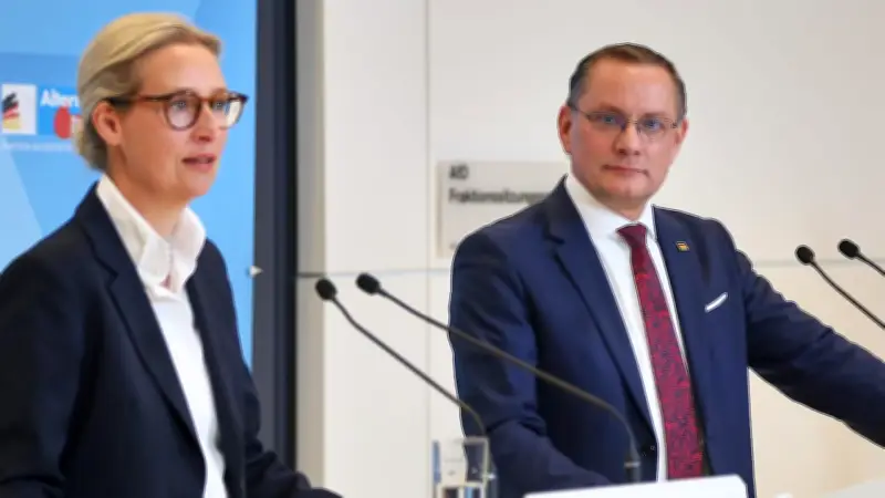 AfD-Fraktion vor Ausschluss von Abgeordnetem: Schlammschlacht um Vetternwirtschaft eskaliert