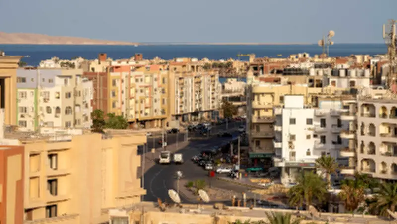 AfD-Politiker nach Wahlschlappe: Auswanderung nach Ägypten statt Bürgermeisteramt