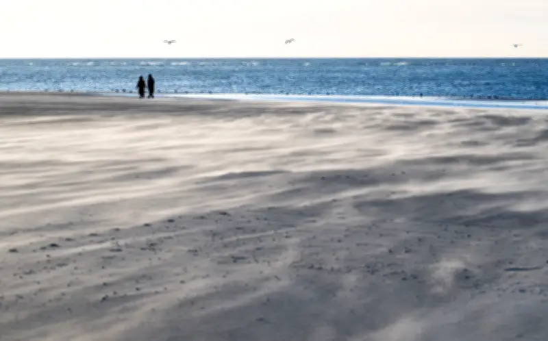 Airbnb und Tourismusverband starten Millionen-Fonds für ländlichen Tourismus