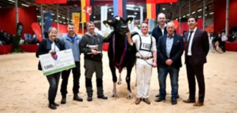 Alge zur 'Miss Ostfriesland' 2026 gekürt: Eine Traumkuh erobert die Herzen der Jury