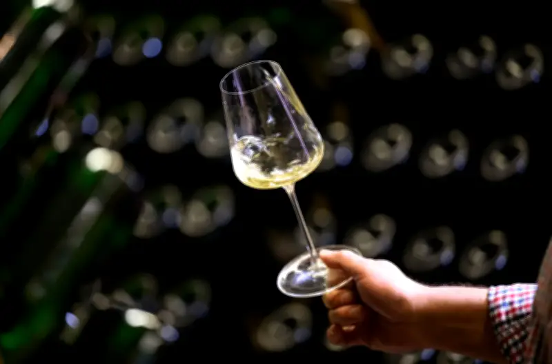 Alkoholfreie Weine im Osten: Winzer zwischen Wachstumsmarkt und Skepsis