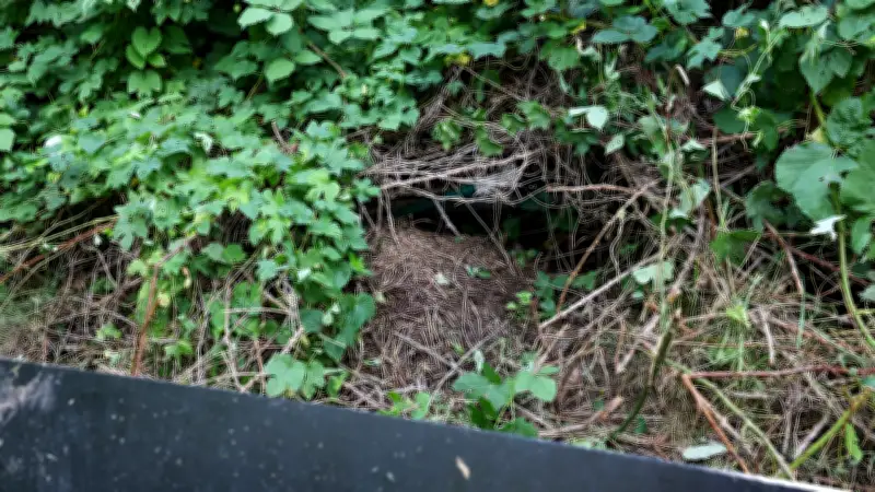 Artenschutz stoppt Großprojekt: Berliner Bauunternehmer gibt Wohnungsbau auf