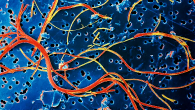 Asbest in Kinderspielzeug: Eltern müssen dringend Spielsand und Spielfiguren überprüfen