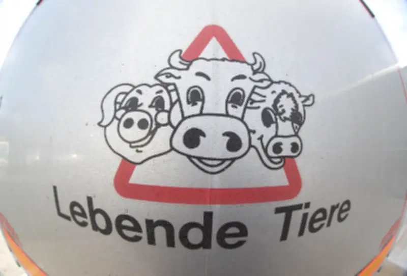 Bad Iburg: Verfahren gegen Tierärzte nach Schlachthof-Skandal gegen Geldauflage eingestellt