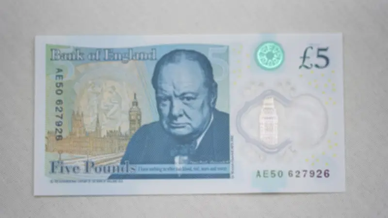 Banknoten-Revolution in Großbritannien: Igel verdrängen Churchill von Geldscheinen