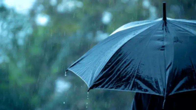 Bauernregel zum verregneten März: Experte erklärt, was wirklich dahintersteckt