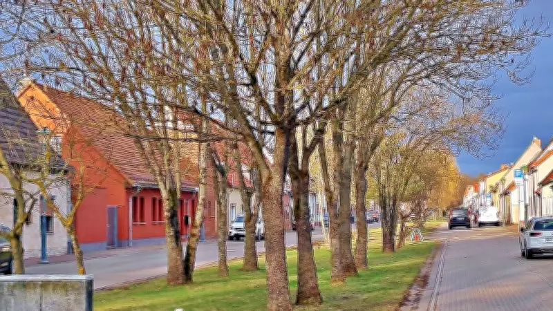 Baumpflanzungen in Wörlitz gestoppt: Versorgungsleitungen blockieren Projekt in Angergasse