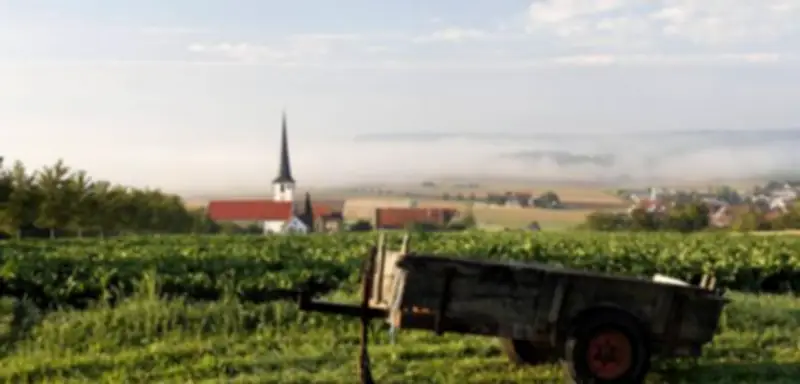 Bayern: Bürgermeister tritt nach Wahlfälschungsgeständnis zurück – Neuwahl notwendig