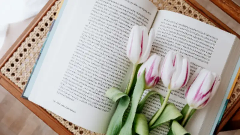 Bücherfrühling in Neubrandenburg: 30 Veranstaltungen zum UNESCO-Welttag des Buches